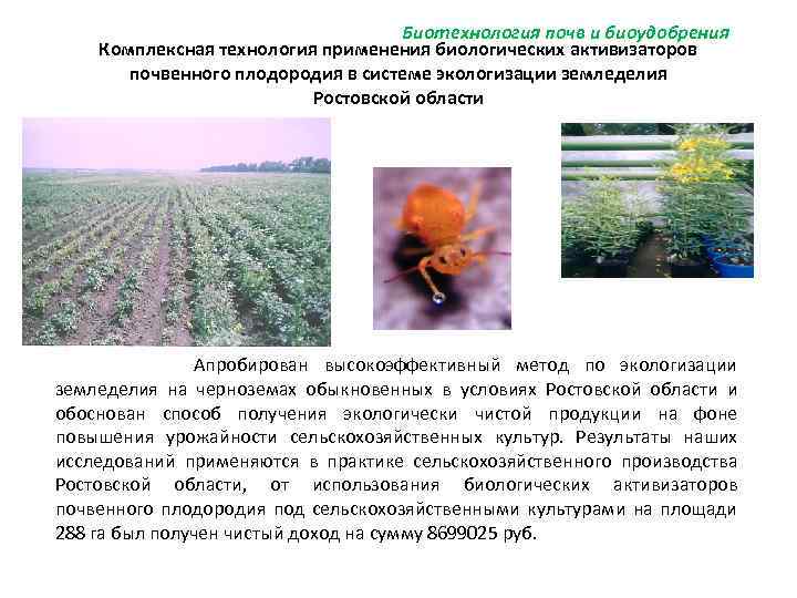 Биотехнология почв и биоудобрения Комплексная технология применения биологических активизаторов почвенного плодородия в системе экологизации