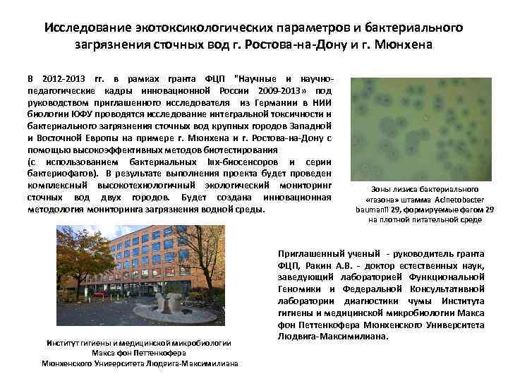 Исследование экотоксикологических параметров и бактериального загрязнения сточных вод г. Ростова-на-Дону и г. Мюнхена В