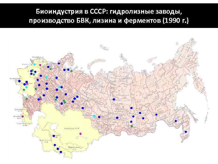 Биоиндустрия в СССР: гидролизные заводы, производство БВК, лизина и ферментов (1990 г. ) 