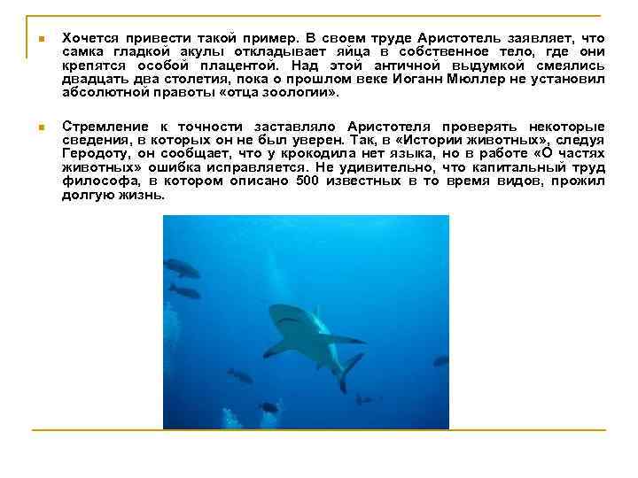 n Хочется привести такой пример. В своем труде Аристотель заявляет, что самка гладкой акулы