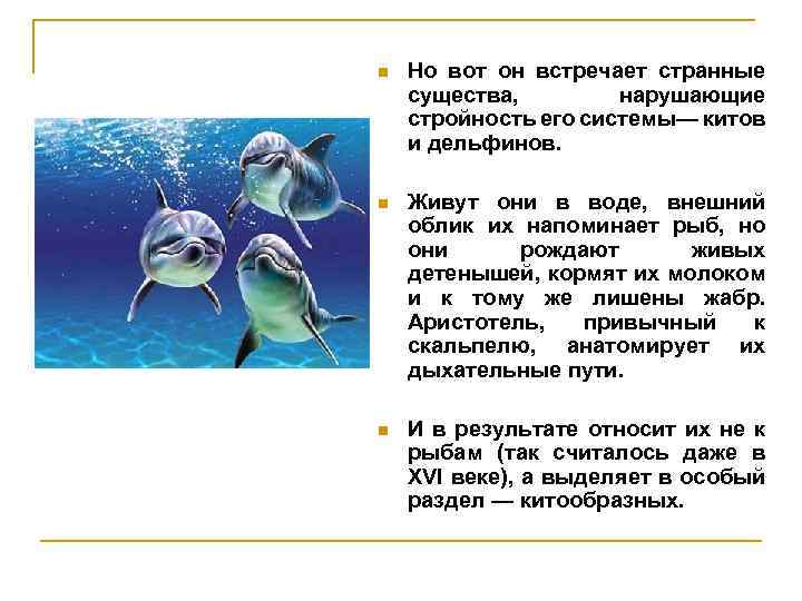 n Но вот он встречает странные существа, нарушающие стройность его системы— китов и дельфинов.