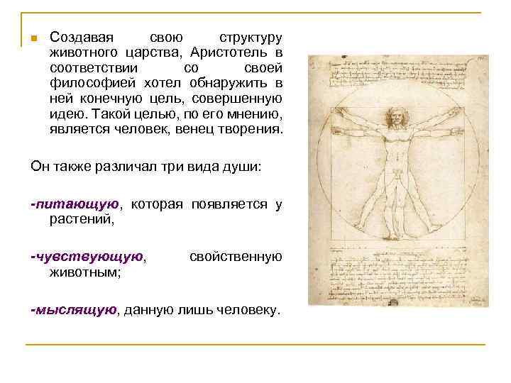 n Создавая свою структуру животного царства, Аристотель в соответствии со своей философией хотел обнаружить