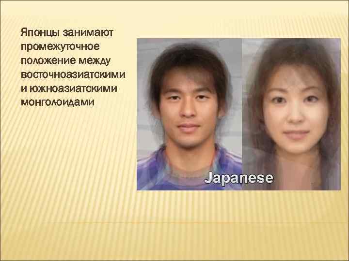 Японцы занимают промежуточное положение между восточноазиатскими и южноазиатскими монголоидами 