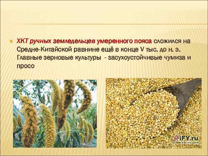  ХКТ ручных земледельцев умеренного пояса сложился на Средне-Китайской равнине ещё в конце V