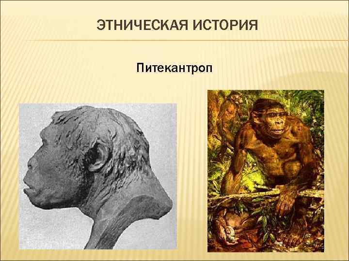 ЭТНИЧЕСКАЯ ИСТОРИЯ Питекантроп 