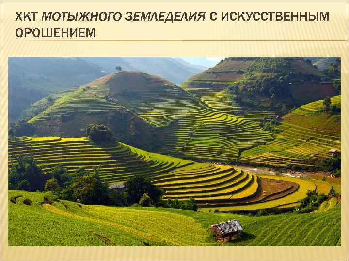 ХКТ МОТЫЖНОГО ЗЕМЛЕДЕЛИЯ С ИСКУССТВЕННЫМ ОРОШЕНИЕМ 