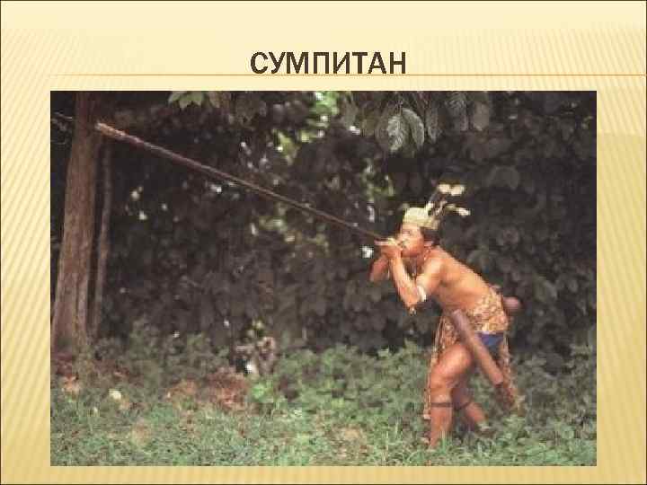 СУМПИТАН 
