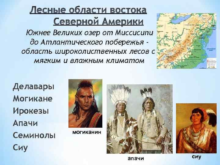 Южнее Великих озер от Миссисипи до Атлантического побережья область широколиственных лесов с мягким и