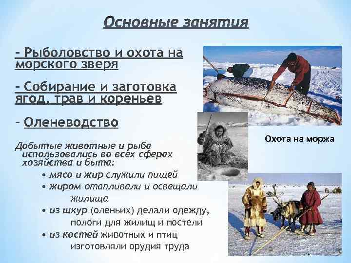 Основные занятия