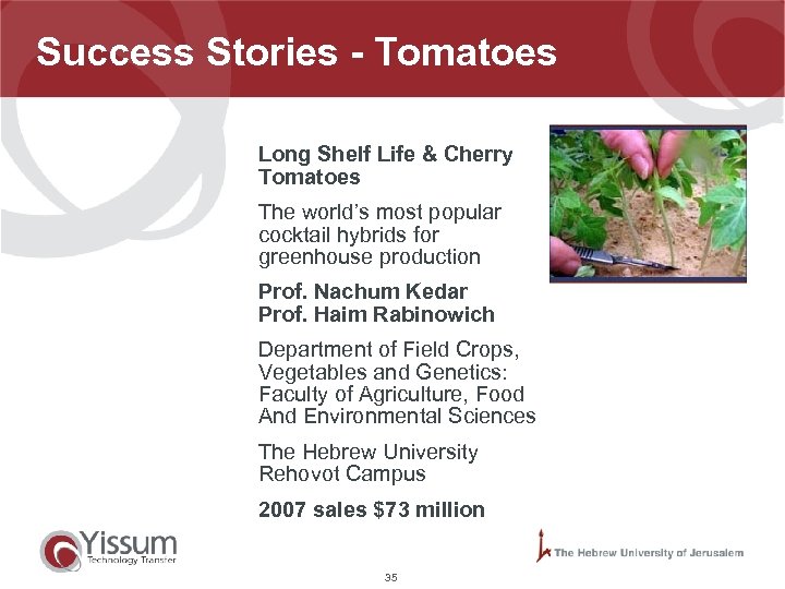Success Stories - Tomatoes Long Shelf Life & Cherry Tomatoes The world’s most popular