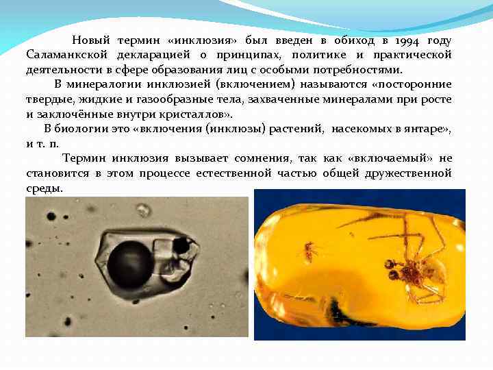  Новый термин «инклюзия» был введен в обиход в 1994 году Саламанкской декларацией о