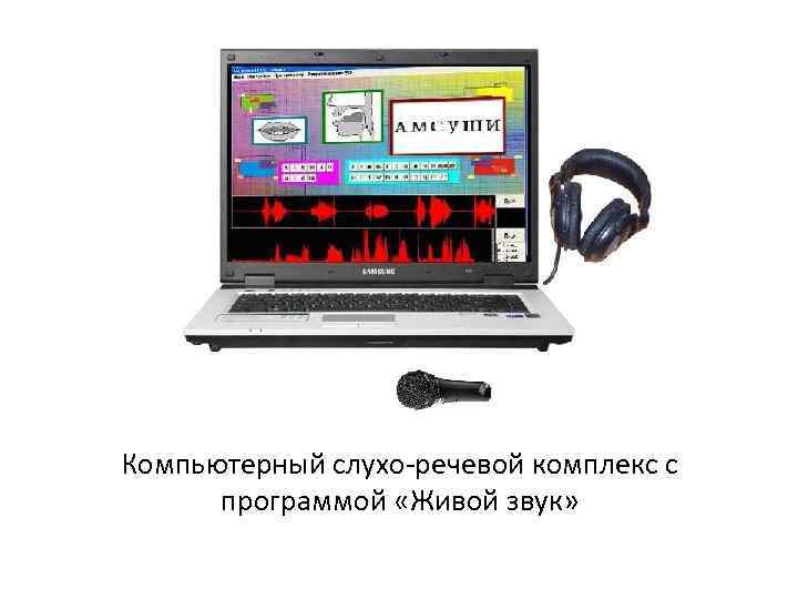 Звуки живой речи. Комплекс «живой звук». Компьютерный звук. Коррекционно-развивающий программный комплекс. Компьютерные программы для глухих.