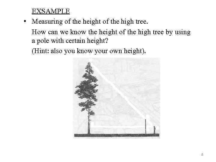 EXSAMPLE • Measuring of the height of the high tree. How can we know
