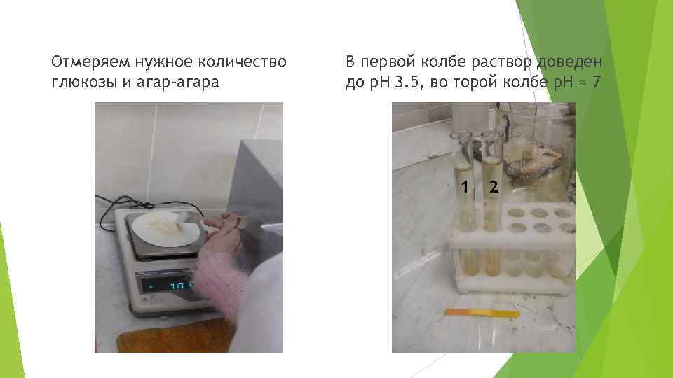 Отмеряем нужное количество глюкозы и агар-агара В первой колбе раствор доведен до р. Н