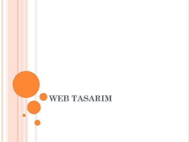 WEB TASARIM 