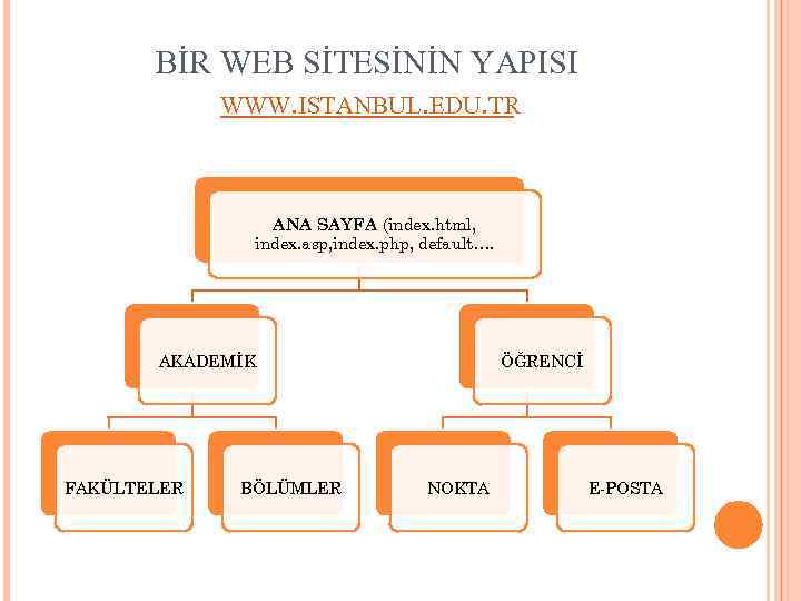 BİR WEB SİTESİNİN YAPISI WWW. ISTANBUL. EDU. TR ANA SAYFA (index. html, index. asp,