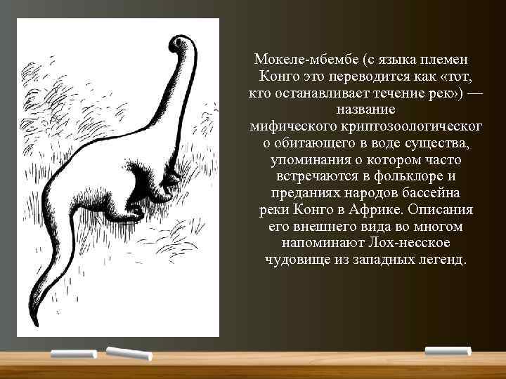 Мокеле-мбембе (с языка племен Конго это переводится как «тот, кто останавливает течение рек» )