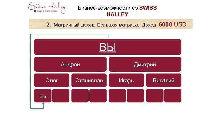 Бизнес-возможности со SWISS HALLEY 2. Матричный доход. Большая матрица. Доход 6000 USD ВЫ Андрей