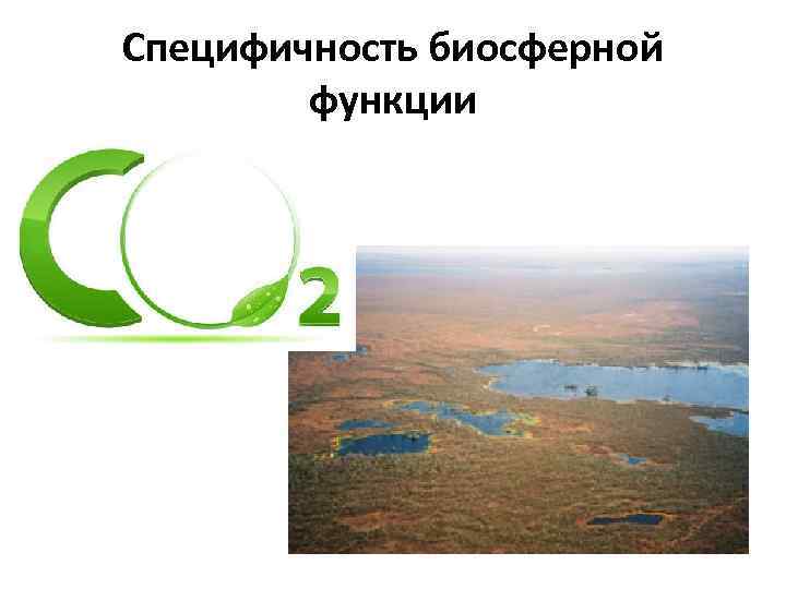 Специфичность биосферной функции 