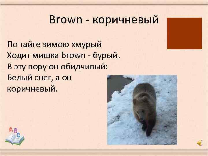 Brown - коричневый По тайге зимою хмурый Ходит мишка brown - бурый. В эту