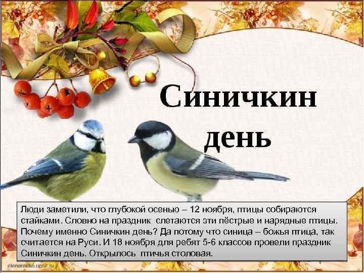 Люди заметили, что глубокой осенью – 12 ноября, птицы собираются стайками. Словно на праздник