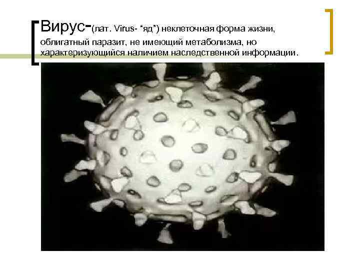 Вирус-(лат. Virus- “яд”) неклеточная форма жизни, облигатный паразит, не имеющий метаболизма, но характеризующийся наличием