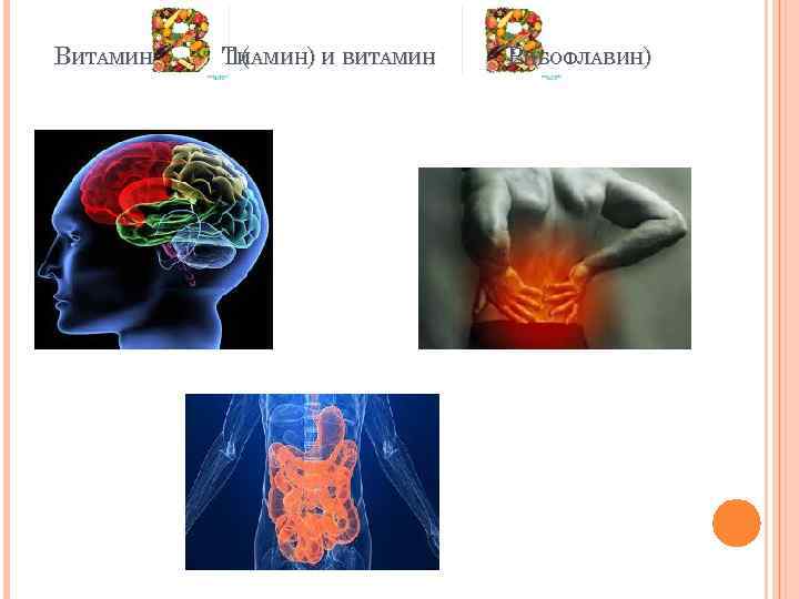 ВИТАМИН ТИАМИН) И ВИТАМИН 1( РИБОФЛАВИН) 2( 