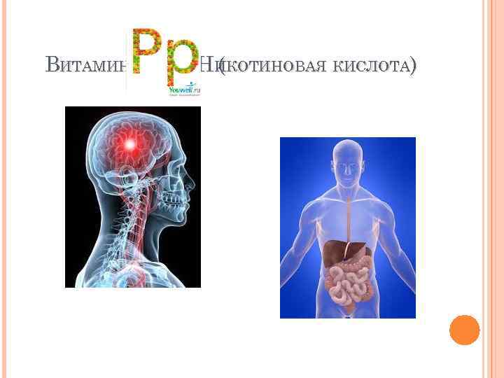 ВИТАМИН НИКОТИНОВАЯ КИСЛОТА) ( 