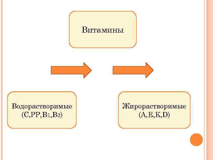 Витамины Водорастворимые (C, PP, B 1, B 2) Жирорастворимые (A, E, K, D) 