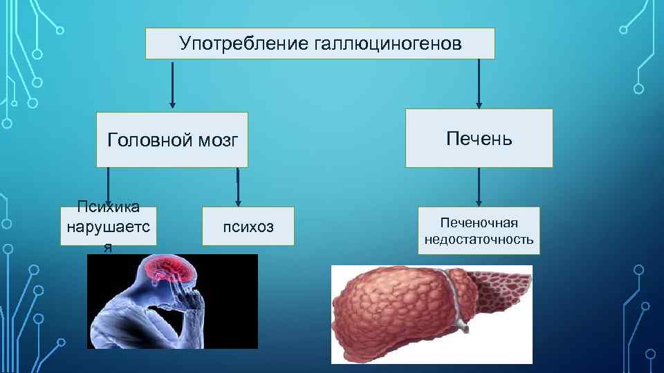 Употребление галлюциногенов Головной мозг Психика нарушаетс я психоз Печень Печеночная недостаточность 