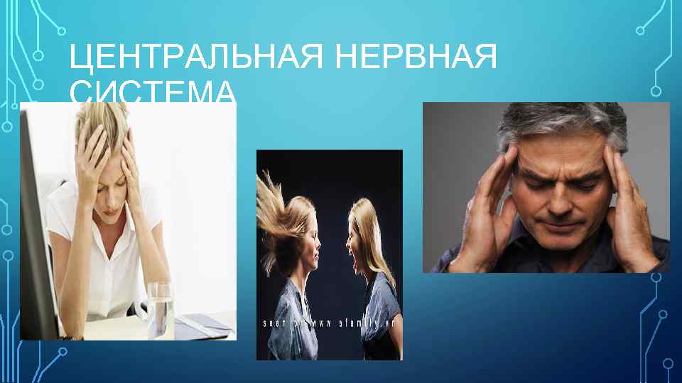 ЦЕНТРАЛЬНАЯ НЕРВНАЯ СИСТЕМА 