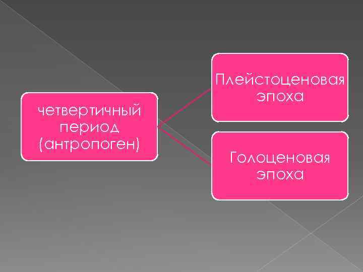 четвертичный период (антропоген) Плейстоценовая эпоха Голоценовая эпоха 