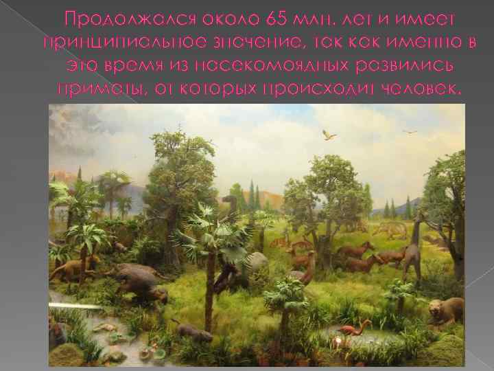 Продолжался около 65 млн. лет и имеет принципиальное значение, так как именно в это