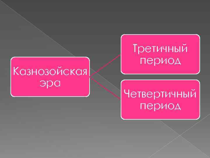 Казнозойская эра Третичный период Четвертичный период 