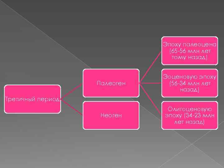 Эпоху палеоцена (65 -56 млн лет тому назад) Палеоген Эоценовую эпоху (56 -34 млн