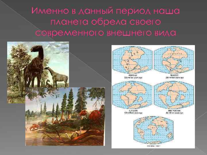 Именно в данный период наша планета обрела своего современного внешнего вида 