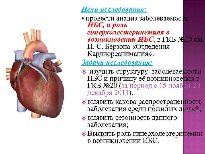 Цели исследования: • провести анализ заболеваемости ИБС, и роль гиперхолестеринемияя в возникновении ИБС, в