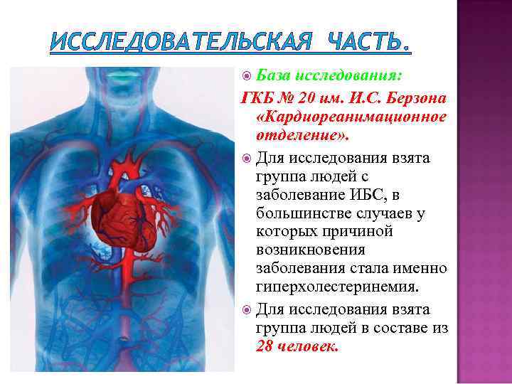 ИССЛЕДОВАТЕЛЬСКАЯ ЧАСТЬ. База исследования: ГКБ № 20 им. И. С. Берзона «Кардиореанимационное отделение» .