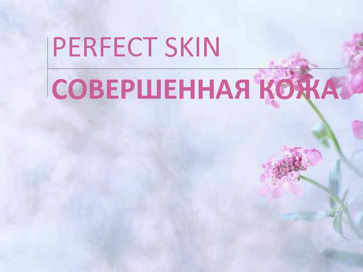 PERFECT SKIN СОВЕРШЕННАЯ КОЖА 