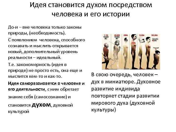 Идея становится духом посредством человека и его истории До-и – вне человека только законы