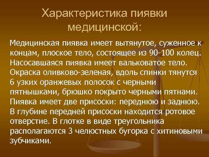 Характеристика пиявки медицинской: Медицинская пиявка имеет вытянутое, суженное к концам, плоское тело, состоящее из