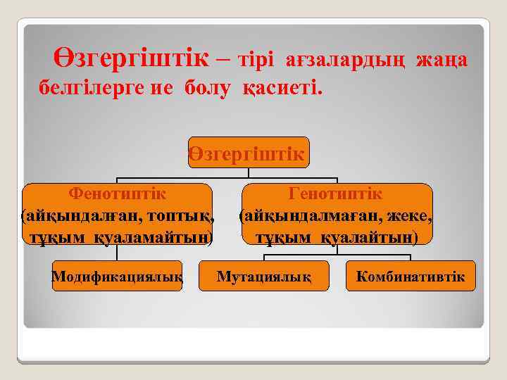 Өзгергіштік – тірі ағзалардың жаңа белгілерге ие болу қасиеті. Өзгергiштiк Фенотиптік (айқындалған, топтық, тұқым