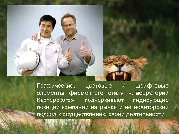 Графические, цветовые и шрифтовые элементы фирменного стиля «Лаборатории Касперского» , подчеркивают лидирующие позиции компании