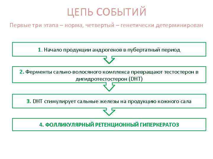 ЦЕПЬ СОБЫТИЙ Первые три этапа – норма, четвертый – генетически детерминирован 1. Начало продукции