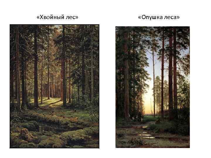  «Хвойный лес» «Опушка леса» 