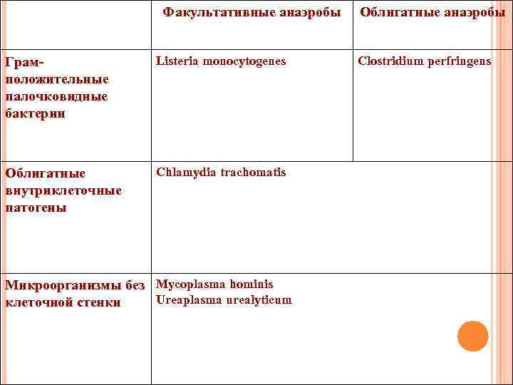 Факультативные анаэробы Грамположительные палочковидные бактерии Listeria monocytogenes Облигатные внутриклеточные патогены Chlamydia trachomatis Микроорганизмы без