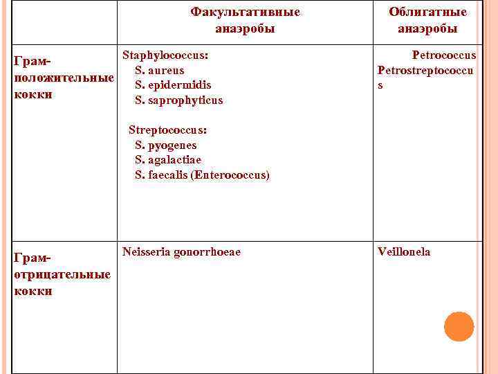 Факультативные анаэробы Staphylococcus: Грам. S. aureus положительные S. epidermidis кокки S. saprophyticus Облигатные анаэробы