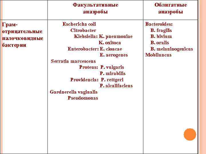 Факультативные анаэробы Грамотрицательные палочковидные бактерии Eschericha coli Citrobacter Klebsiella: K. pneumoniae K. oxitoca Enterobacter:
