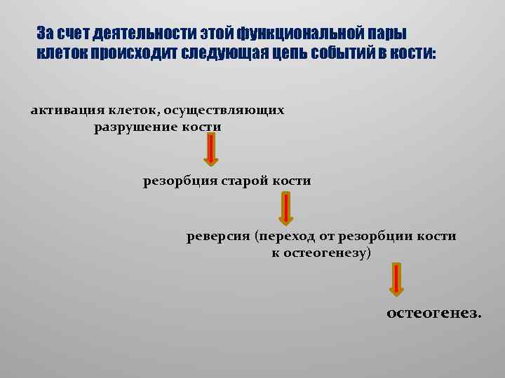 За счет деятельности этой функциональной пары клеток происходит следующая цепь событий в кости: активация