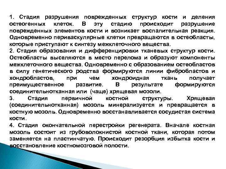 1. Стадия разрушения поврежденных структур кости и деления остеогенных клеток. В эту стадию происходит